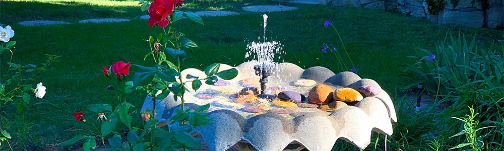 Scallop design fountain with water, rose and lawn